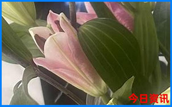 深圳适合带父母游玩的地方